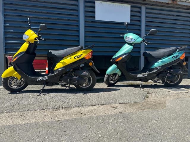 1-Person Scooter Rental